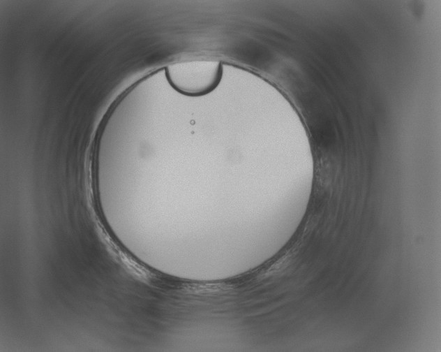 X0000051251150200507011645