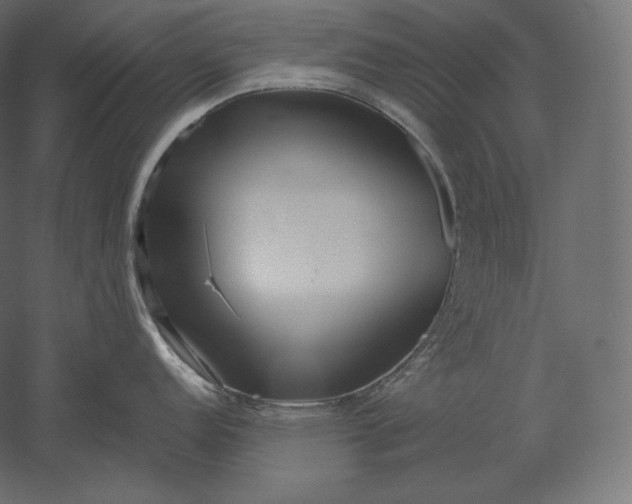 X0000051251152200507011646