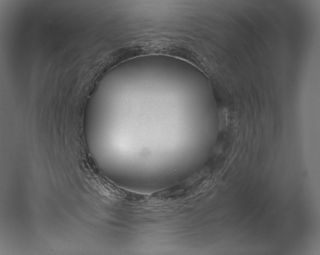 X0000051251153200507011645