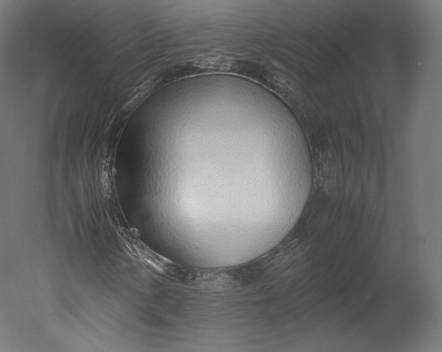 X0000051251154200507011645