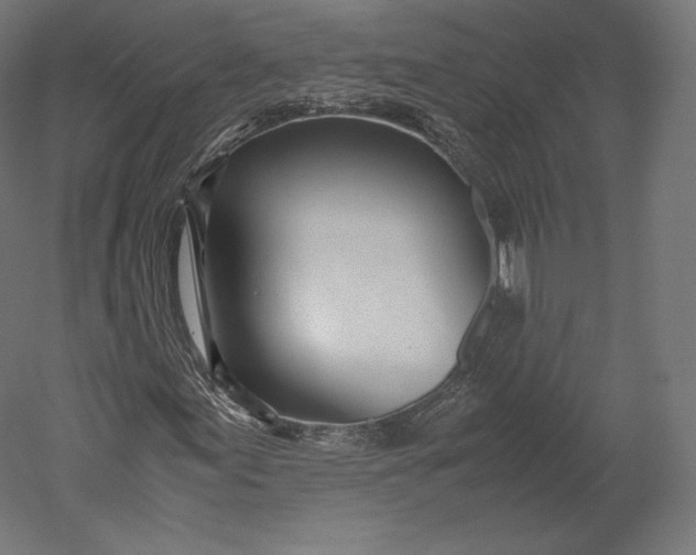 X0000051251155200507011645