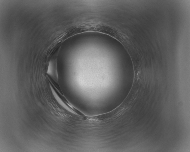 X0000051251156200507011645