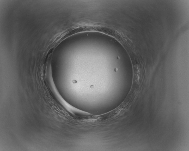 X0000051251157200507011645