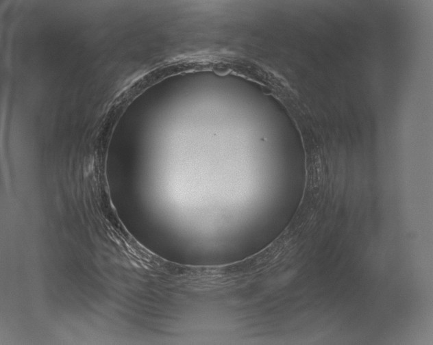 X0000051251158200507011645