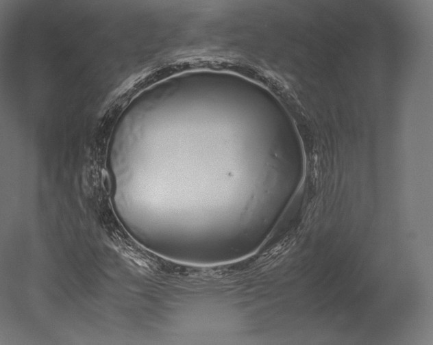 X0000051251159200507011645