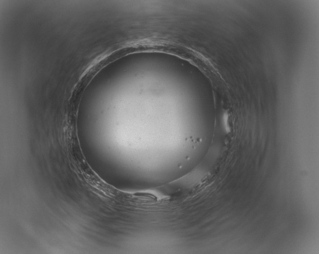 X0000051251160200507011645