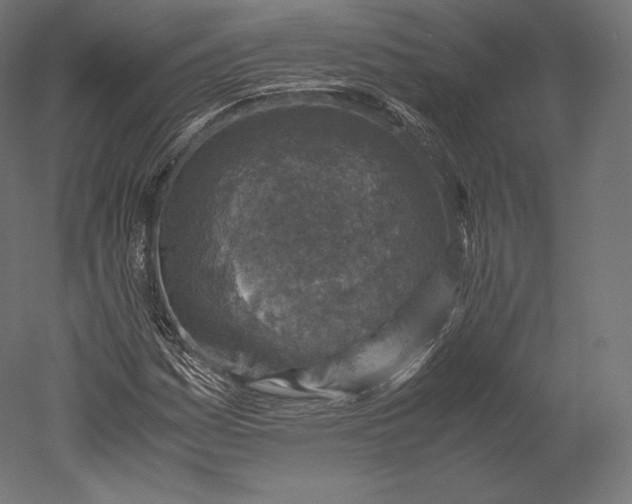 X0000051251161200507011645