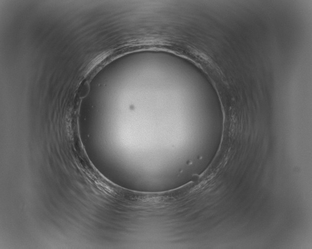 X0000051251162200507011645