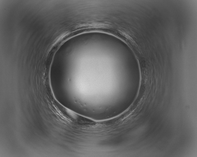 X0000051251163200507011645