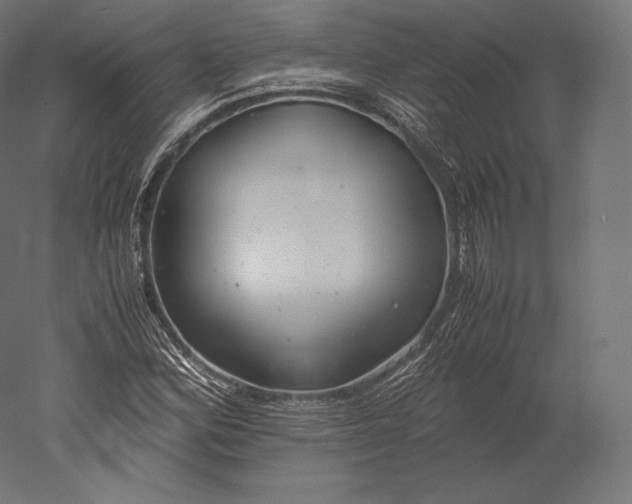 X0000051251164200507011645