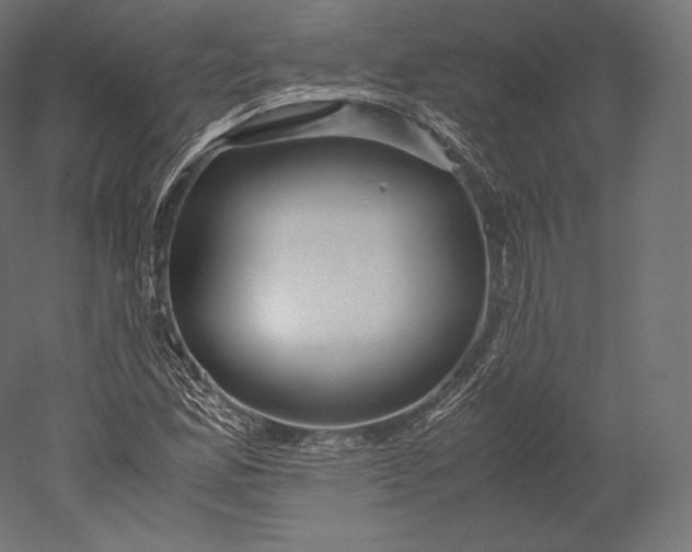 X0000051251165200507011644