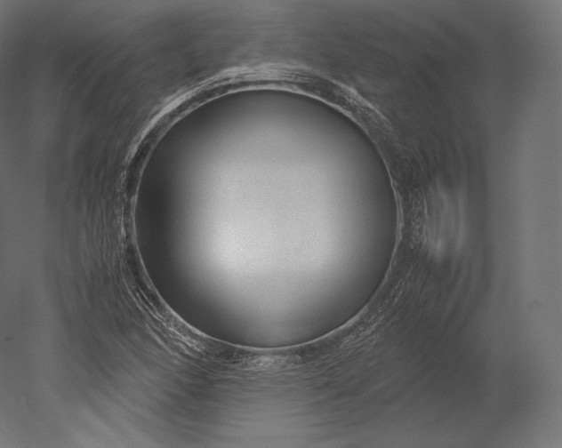 X0000051251166200507011644