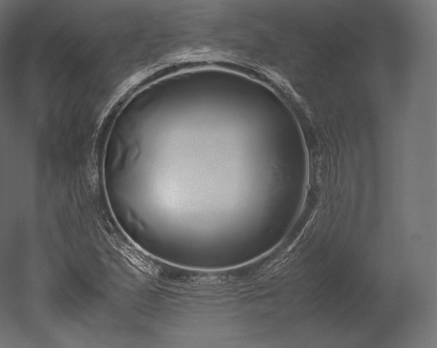 X0000051251167200507011644