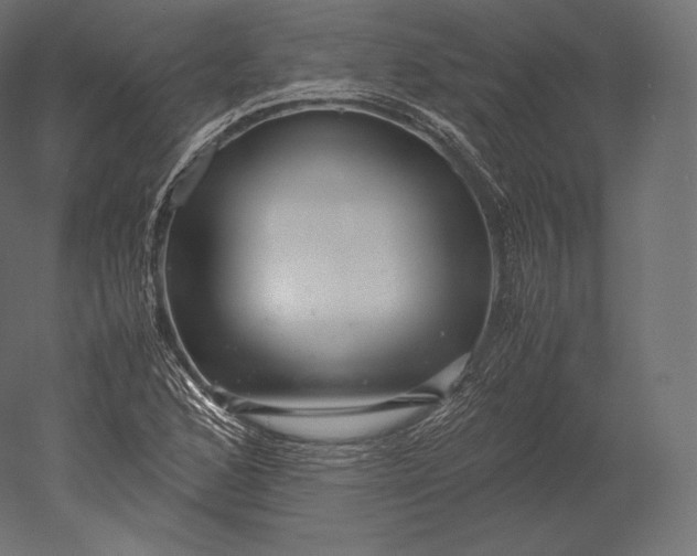 X0000051251168200507011644