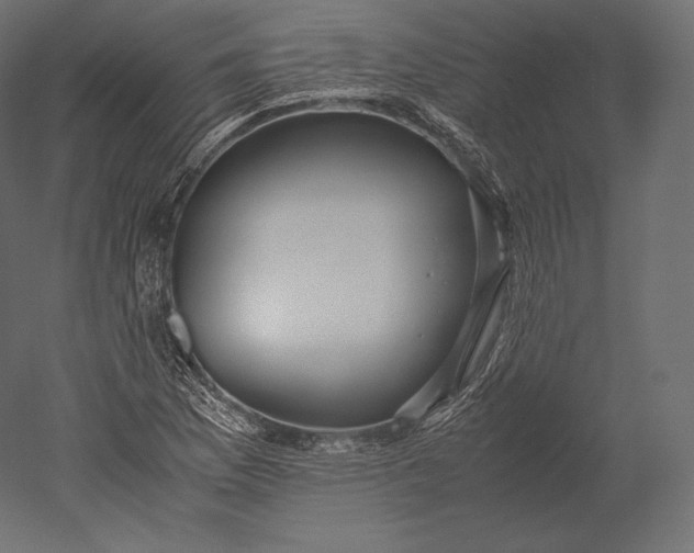 X0000051251169200507011644