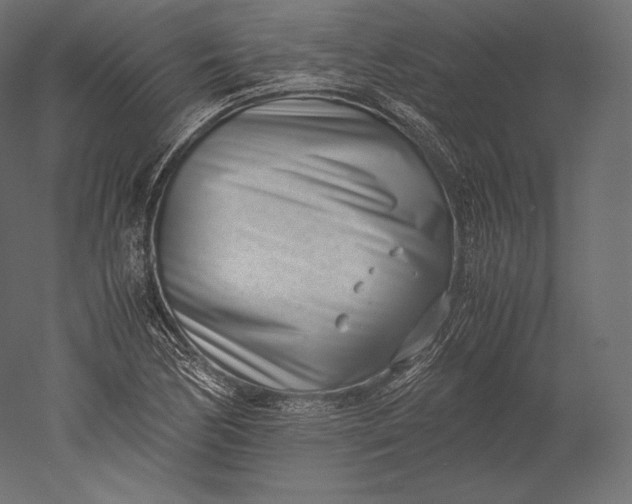 X0000051251170200507011644