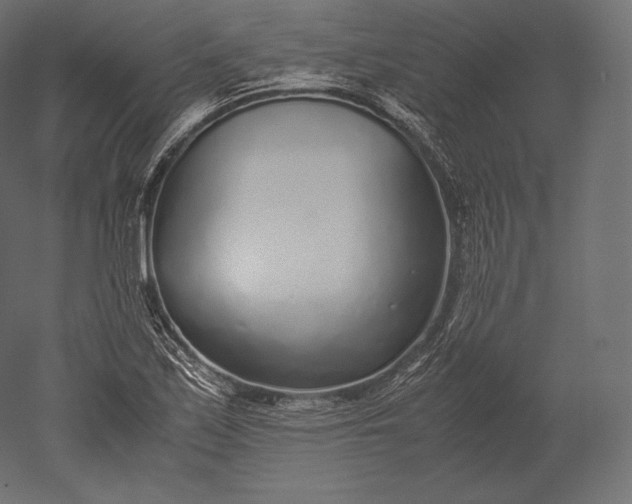 X0000051251171200507011644