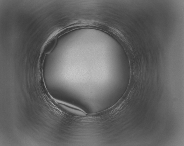 X0000051251172200507011644