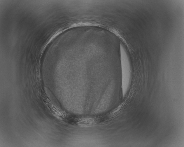 X0000051251173200507011644