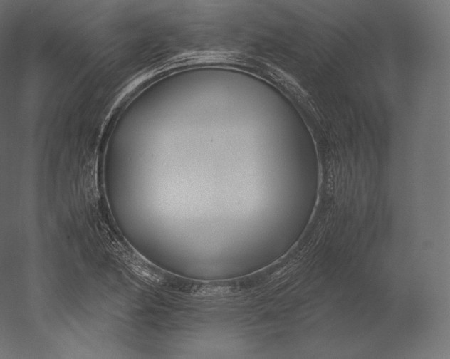 X0000051251174200507011644