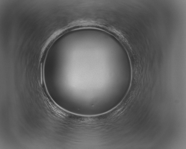 X0000051251175200507011644