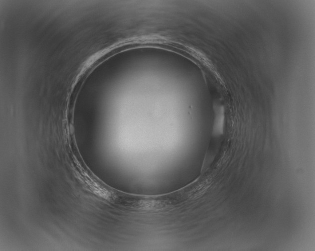 X0000051251176200507011644