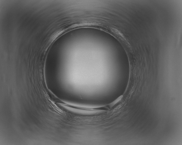 X0000051251177200507011644