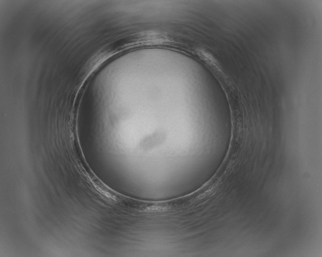 X0000051251178200507011644