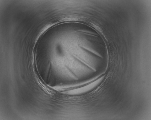 X0000051251179200507011644