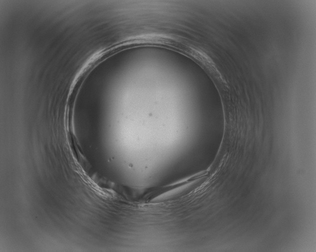 X0000051251180200507011644