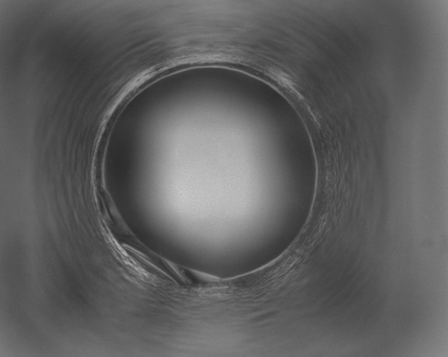 X0000051251181200507011644