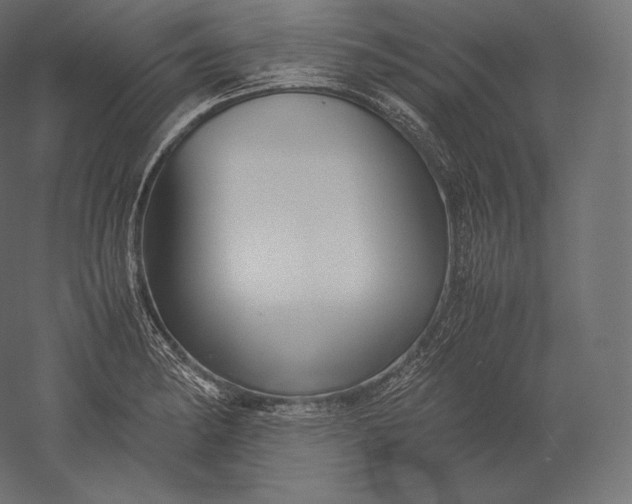 X0000051251182200507011644