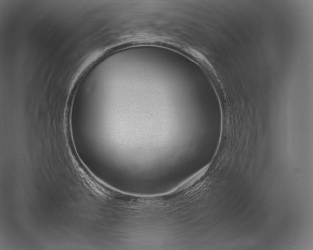 X0000051251183200507011644