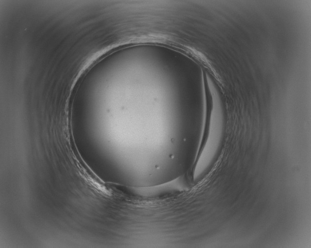 X0000051251184200507011644