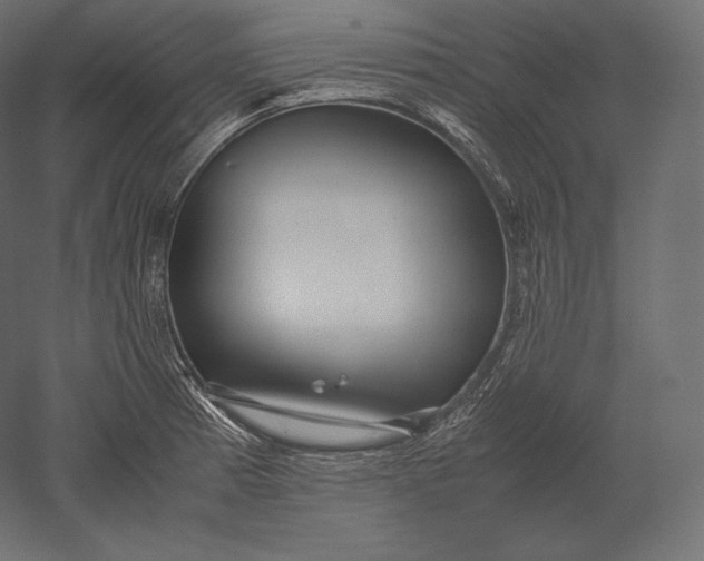 X0000051251185200507011644