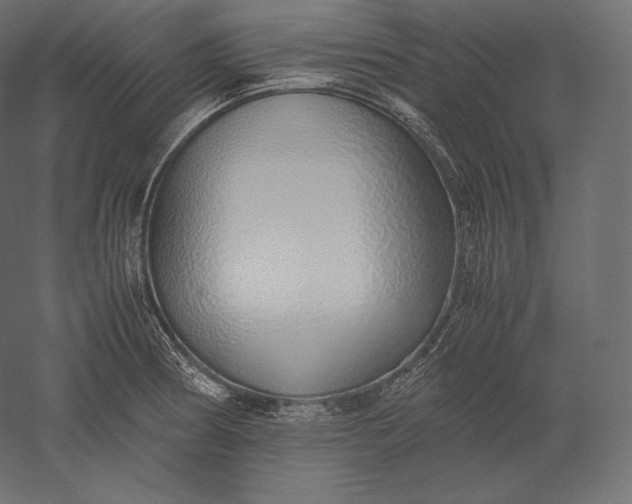 X0000051251186200507011644