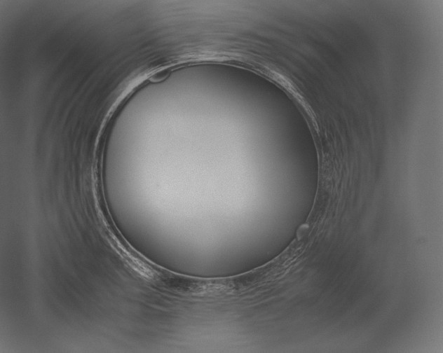 X0000051251187200507011644