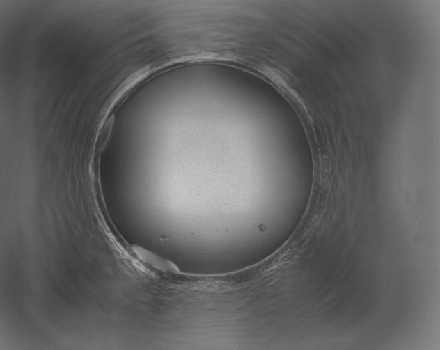 X0000051251189200507011644