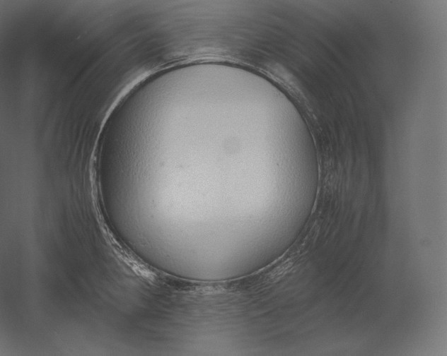 X0000051251190200507011644