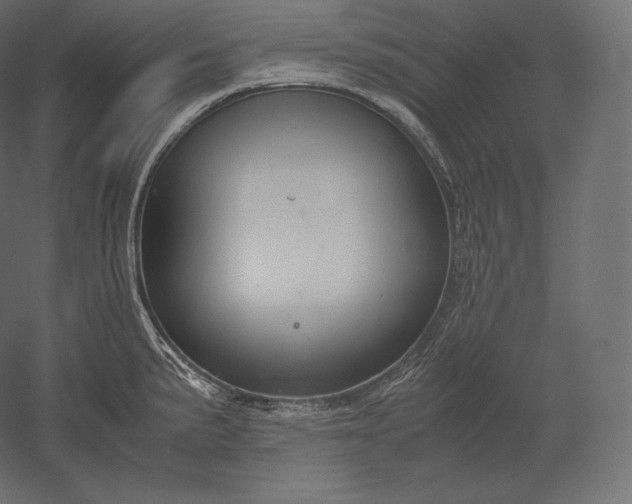 X0000051251191200507011644