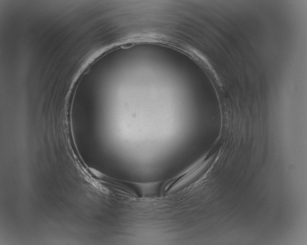 X0000051251192200507011644