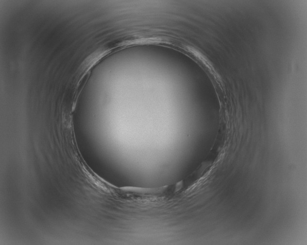 X0000051251193200507011644