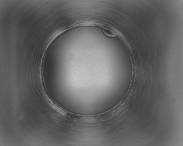 X0000051251194200507011644