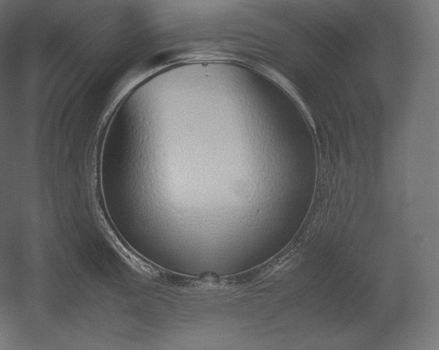 X0000051251195200507011644