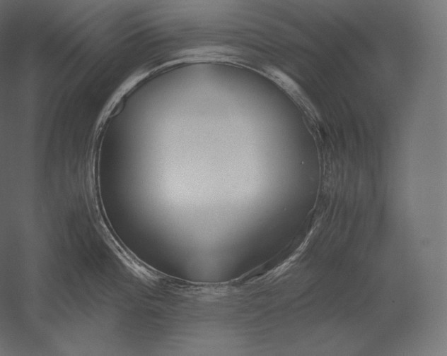 X0000051251196200507011644