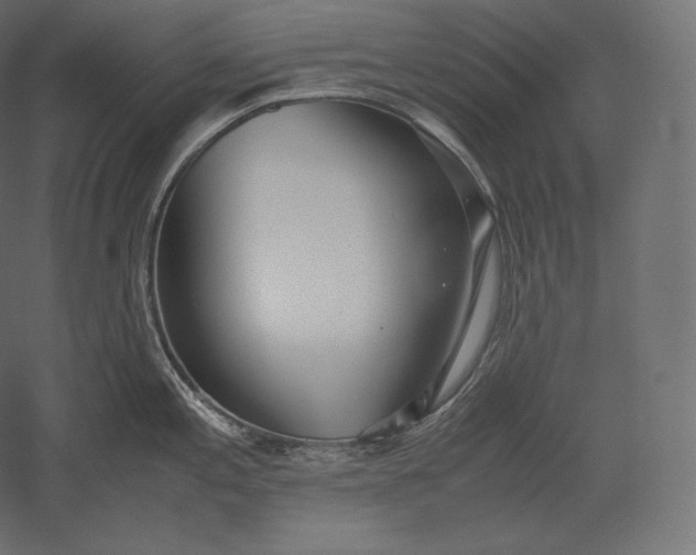 X0000051251197200507011644