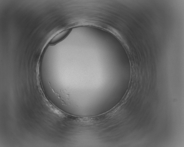 X0000051251198200507011644