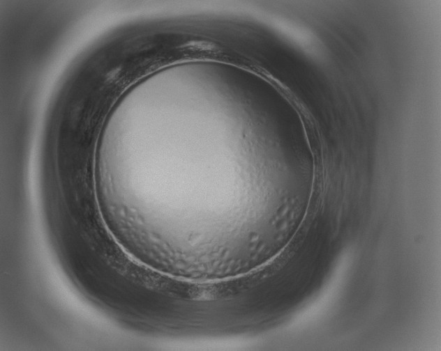 X0000051251199200507011644