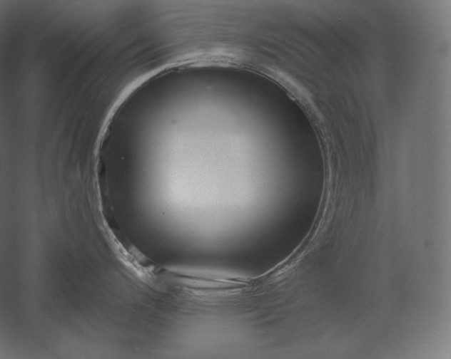 X0000051251200200507011644