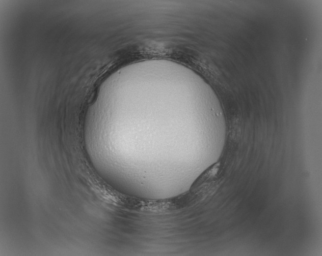 X0000051251201200507011643